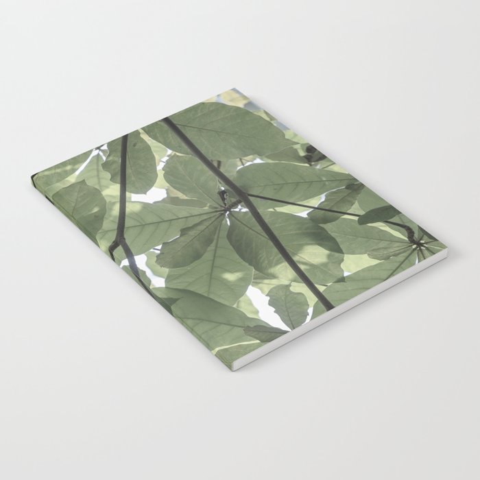 Sage green botanical art print - soft green leaves - nature and travel photography Notebook Gallery Image 2
