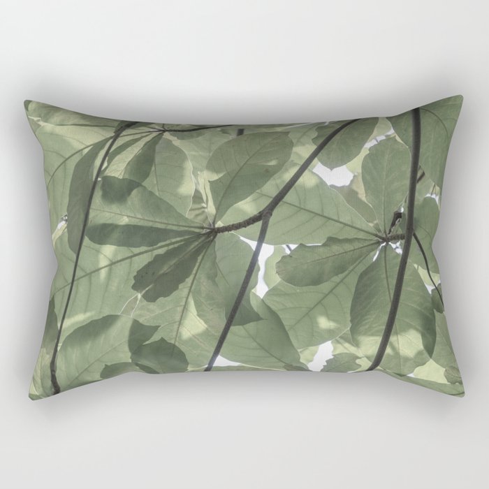 Sage green botanical art print - soft green leaves - nature and travel photography Rectangular Pillow Gallery Image 2