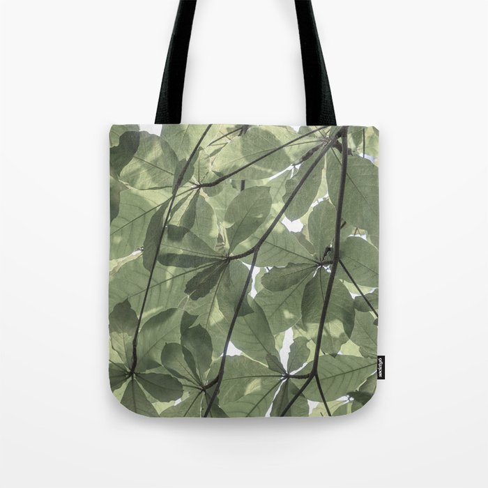 Sage green botanical art print - soft green leaves - nature and travel photography Tote Bag Gallery Image 1