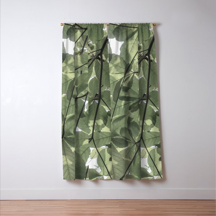 Sage green botanical art print - soft green leaves - nature and travel photography Window Curtain Gallery Image 3