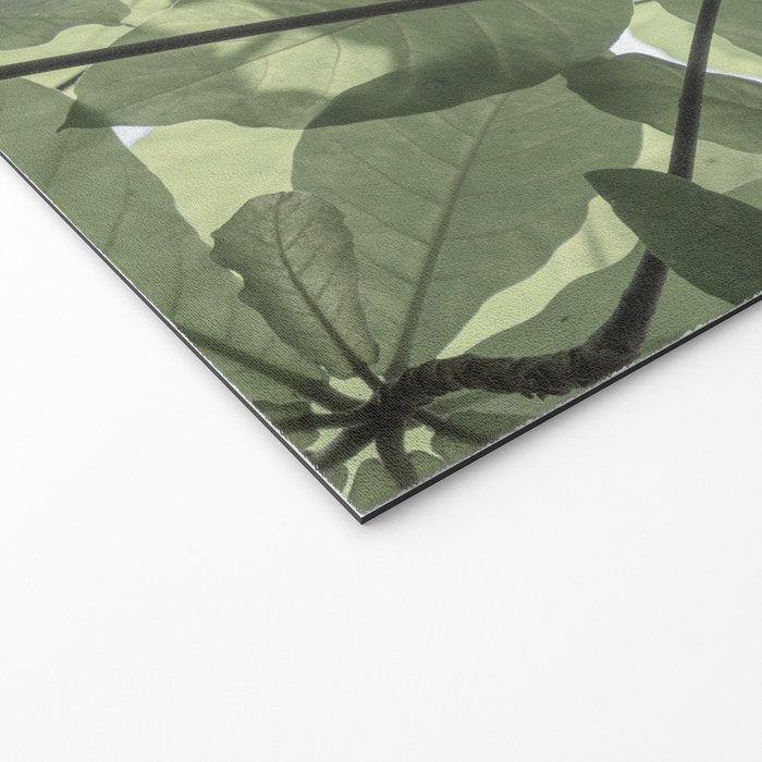 Sage green botanical art print - soft green leaves - nature and travel photography Welcome Mat Gallery Image 2