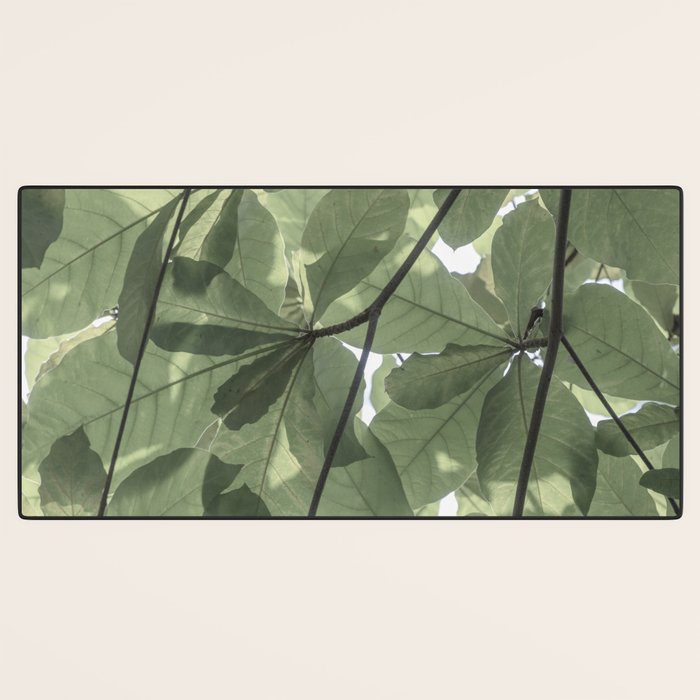 Sage green botanical art print - soft green leaves - nature and travel photography Desk Mat Gallery Image 3
