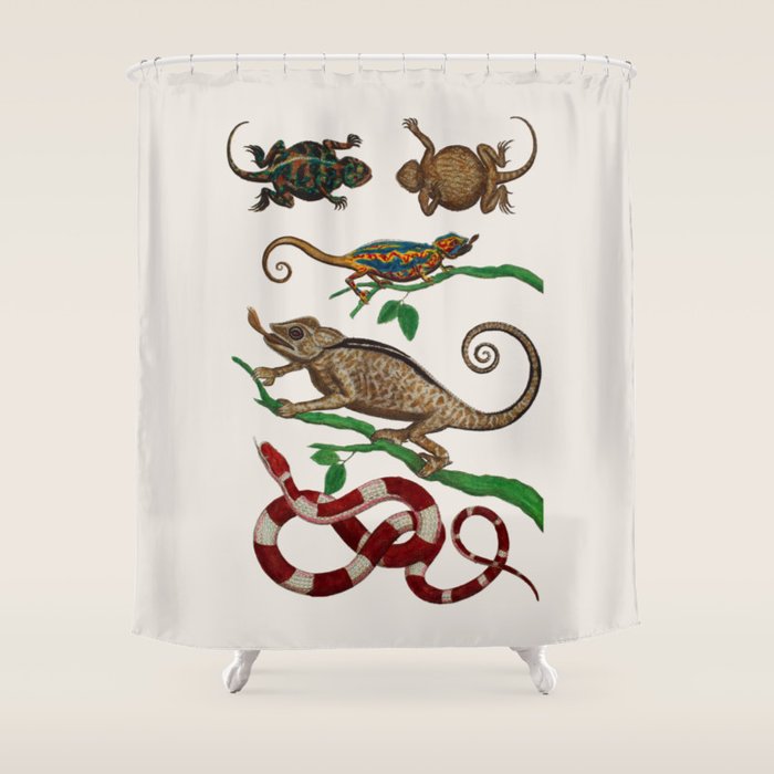 Albertus Seba Iguana And Snakes Shower Curtain Gallery Image 1