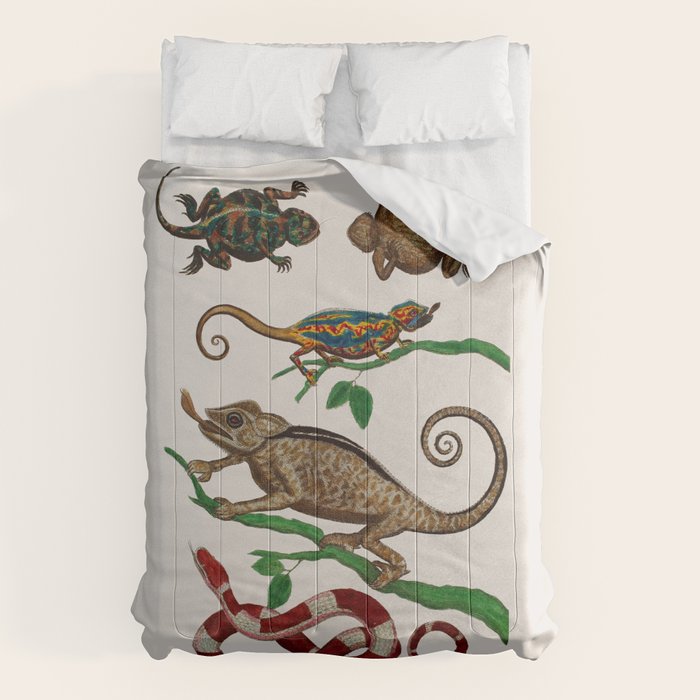 Albertus Seba Iguana And Snakes Comforter Gallery Image 6