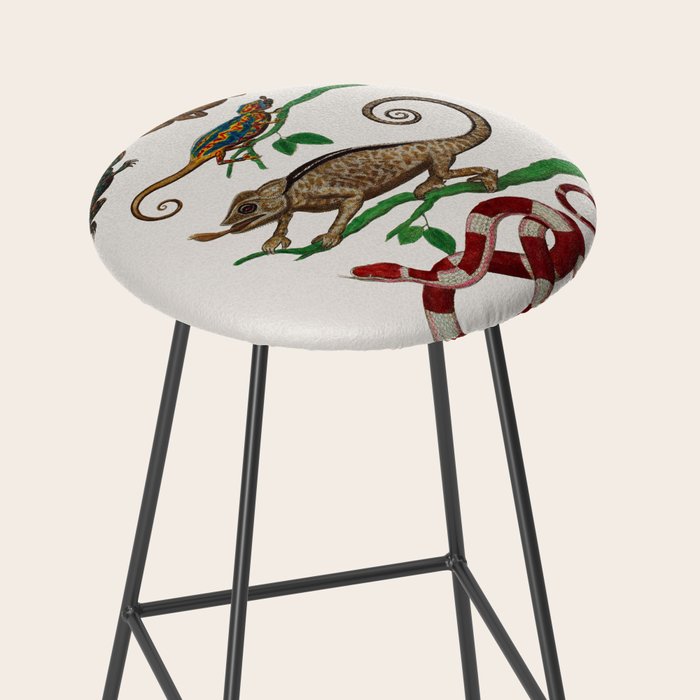 Albertus Seba Iguana And Snakes Stool Gallery Image 2