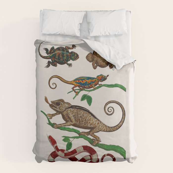 Albertus Seba Iguana And Snakes Duvet Cover Gallery Image 6