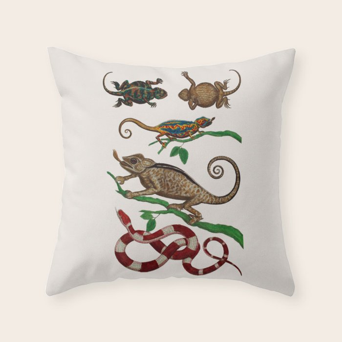 Albertus Seba Iguana And Snakes Throw Pillow Gallery Image 6