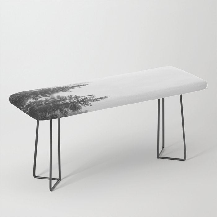 Misty Forest Bench Gallery Image 1
