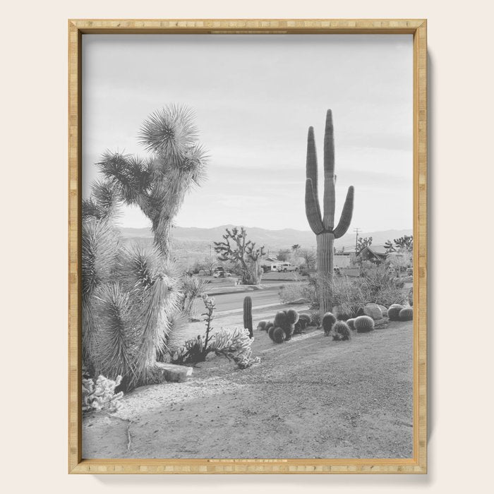 Yucca Valley | Black and White California Landscape Photography Serving Tray Gallery Image 1