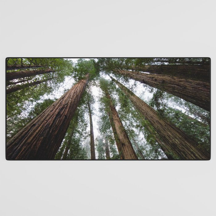 Redwood Forest Adventure VI - Nature Photography Desk Mat Gallery Image 3