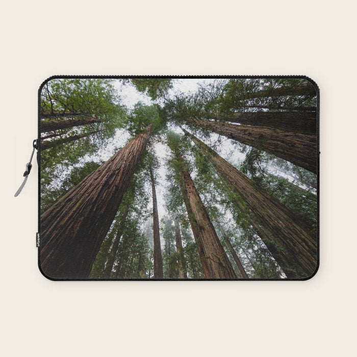 Redwood Forest Adventure VI - Nature Photography Laptop Sleeve Gallery Image 1