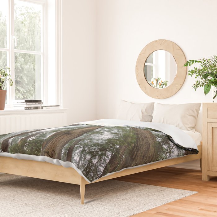 Redwood Forest Adventure VI - Nature Photography Duvet Cover Gallery Image 2