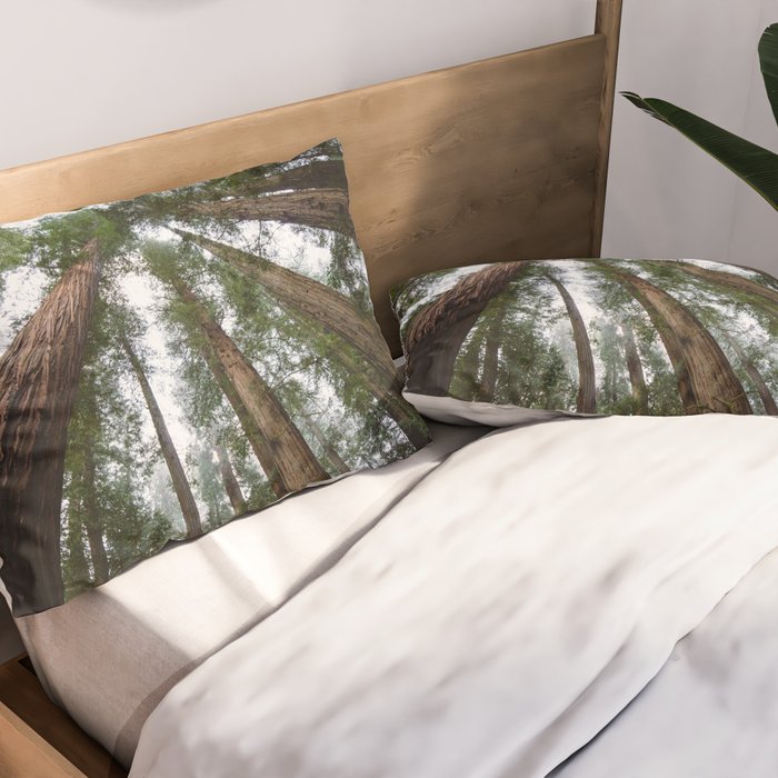 Redwood Forest Adventure VI - Nature Photography Pillow Sham Gallery Image 2