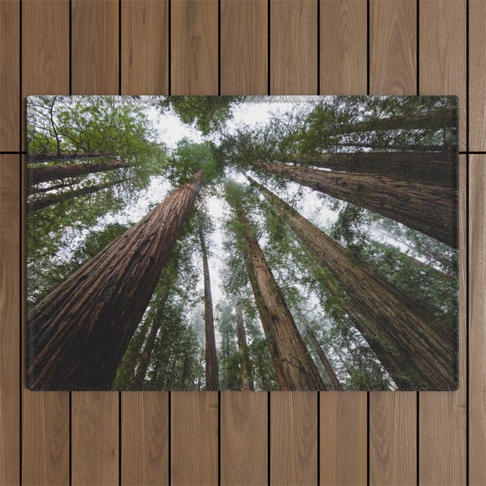 Redwood Forest Adventure VI - Nature Photography Outdoor Rug Gallery Image 1
