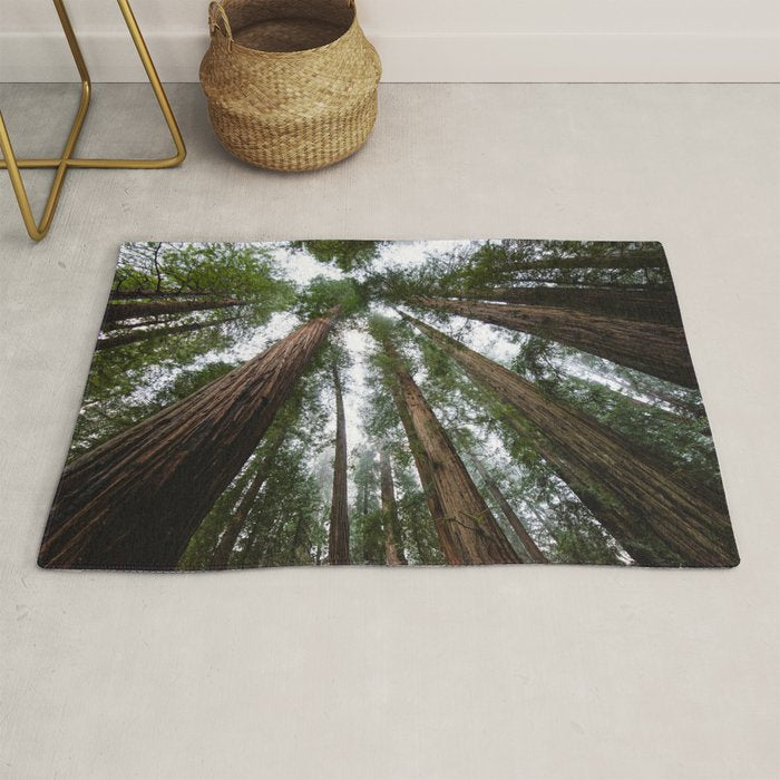 Redwood Forest Adventure VI - Nature Photography Rug Gallery Image 1