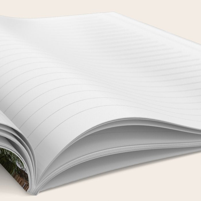 Redwood Forest Adventure VI - Nature Photography Notebook Gallery Image 2