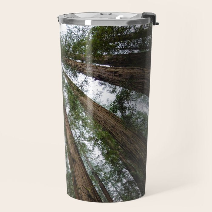 Redwood Forest Adventure VI - Nature Photography Travel Mug Gallery Image 2