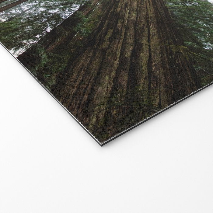 Redwood Forest Adventure VI - Nature Photography Welcome Mat Gallery Image 2