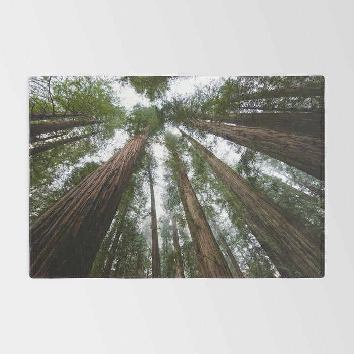 Redwood Forest Adventure VI - Nature Photography Rug Gallery Image 2