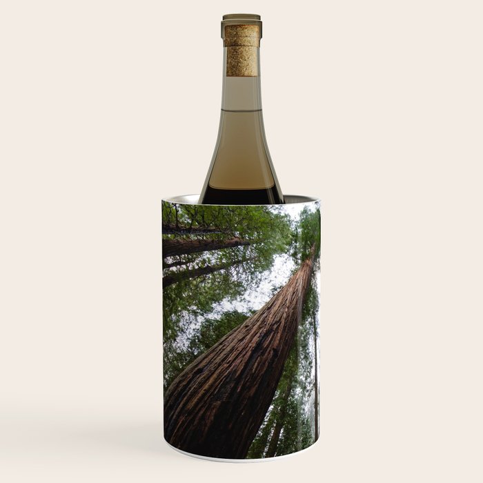 Redwood Forest Adventure VI - Nature Photography Wine Chiller Gallery Image 2