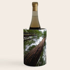 Redwood Forest Adventure VI - Nature Photography Wine Chiller Gallery Image 2