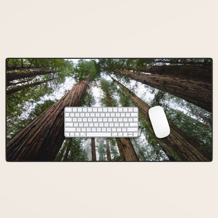 Redwood Forest Adventure VI - Nature Photography Desk Mat Gallery Image 1