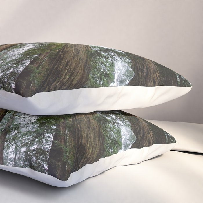 Redwood Forest Adventure VI - Nature Photography Pillow Sham Gallery Image 3