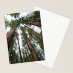 Redwood Forest Adventure VI - Nature Photography Stationery Card Gallery Image 2