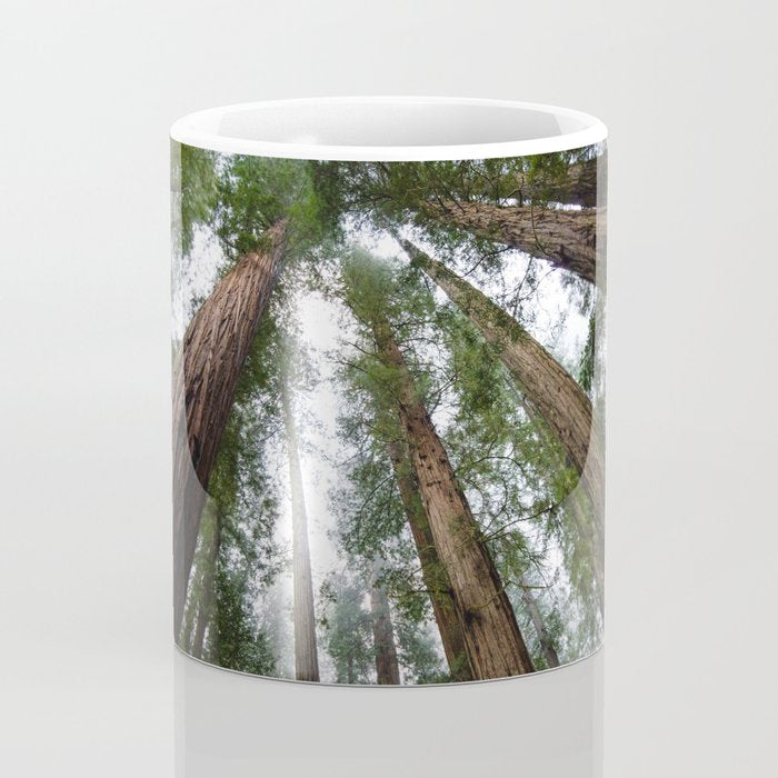 Redwood Forest Adventure VI - Nature Photography Coffee Mug Gallery Image 4