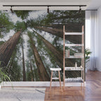 Redwood Forest Adventure VI - Nature Photography Wall Mural Gallery Image 1