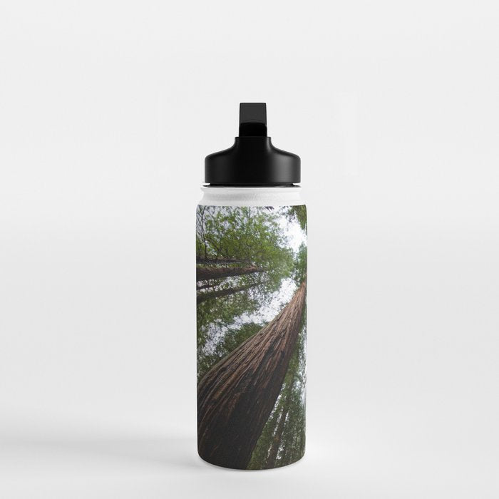 Redwood Forest Adventure VI - Nature Photography Water Bottle Gallery Image 3