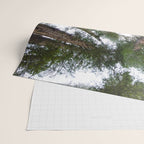 Redwood Forest Adventure VI - Nature Photography Wrapping Paper Gallery Image 2
