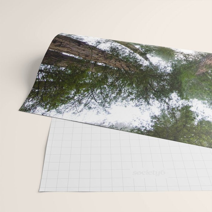 Redwood Forest Adventure VI - Nature Photography Wrapping Paper Gallery Image 2