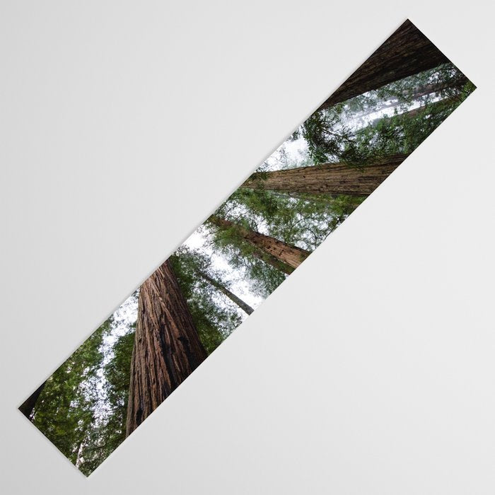 Redwood Forest Adventure VI - Nature Photography Table Runner Gallery Image 3