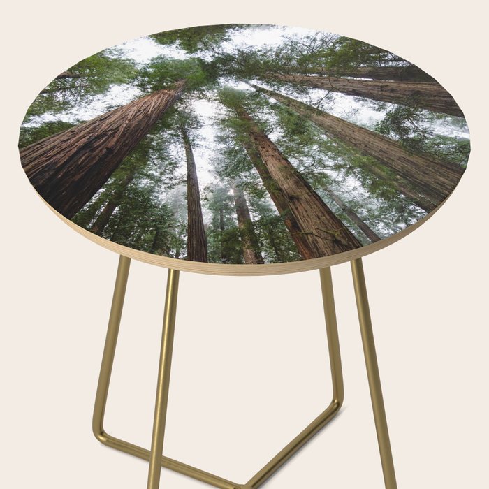 Redwood Forest Adventure VI - Nature Photography Side Table Gallery Image 2