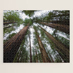 Redwood Forest Adventure VI - Nature Photography Jigsaw Puzzle Gallery Image 1
