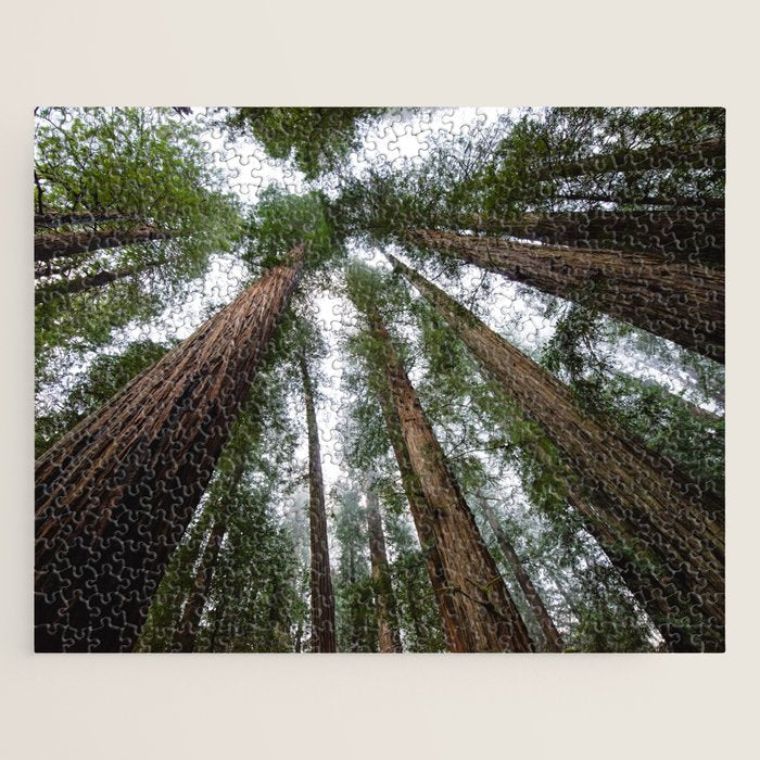 Redwood Forest Adventure VI - Nature Photography Jigsaw Puzzle Gallery Image 1