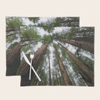 Redwood Forest Adventure VI - Nature Photography Placemat Gallery Image 1