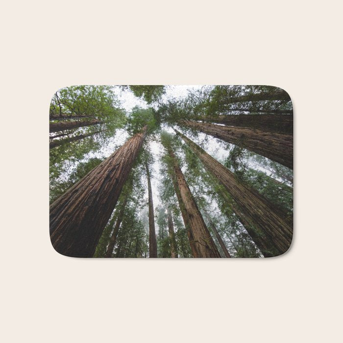 Redwood Forest Adventure VI - Nature Photography Bath Mat Gallery Image 1