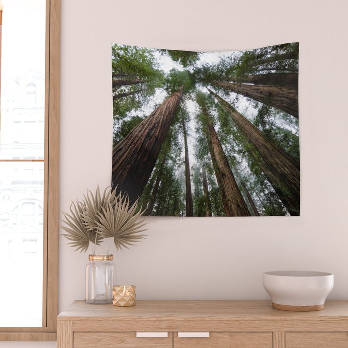 Redwood Forest Adventure VI - Nature Photography Wall Tapestry Gallery Image 2