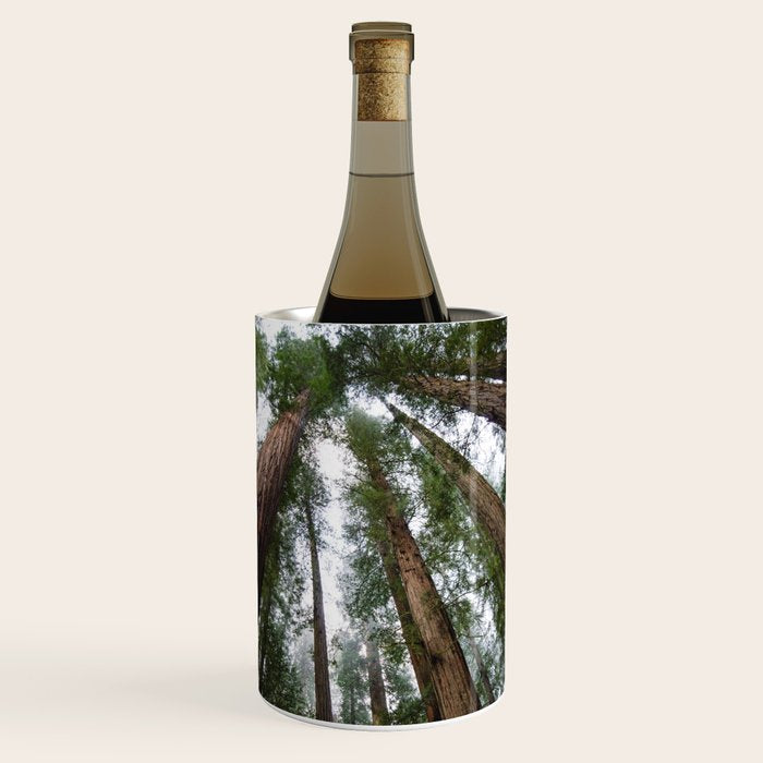 Redwood Forest Adventure VI - Nature Photography Wine Chiller Gallery Image 1