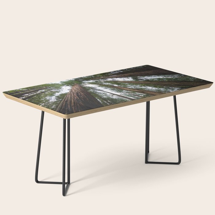 Redwood Forest Adventure VI - Nature Photography Coffee Table Gallery Image 1