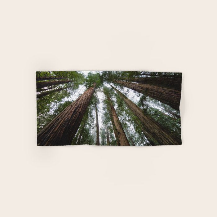 Redwood Forest Adventure VI - Nature Photography Bath Towel Gallery Image 1