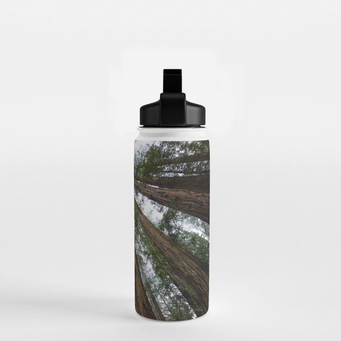 Redwood Forest Adventure VI - Nature Photography Water Bottle Gallery Image 2