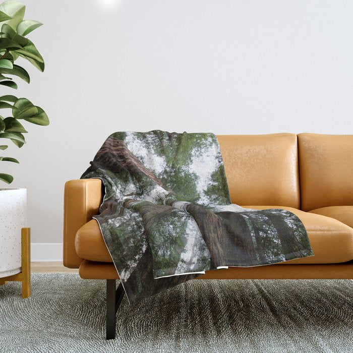 Redwood Forest Adventure VI - Nature Photography Throw Blanket Gallery Image 1