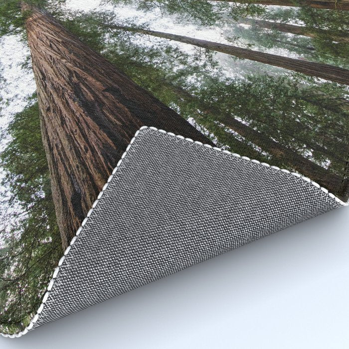 Redwood Forest Adventure VI - Nature Photography Rug Gallery Image 4