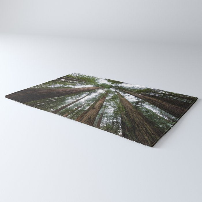 Redwood Forest Adventure VI - Nature Photography Rug Gallery Image 3