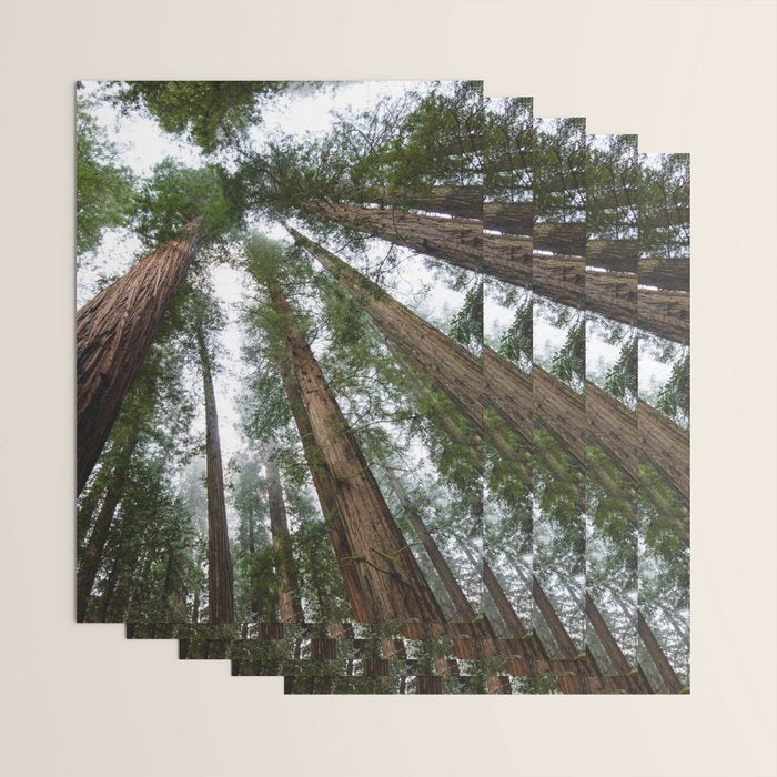 Redwood Forest Adventure VI - Nature Photography Wrapping Paper Gallery Image 3