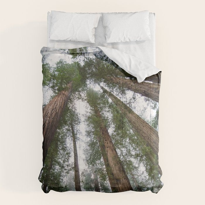 Redwood Forest Adventure VI - Nature Photography Comforter Gallery Image 1