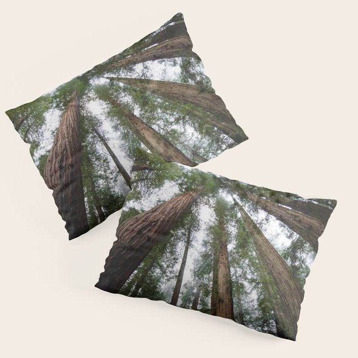 Redwood Forest Adventure VI - Nature Photography Pillow Sham Gallery Image 3